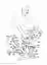 Fig. 01 - Bicycling exercise apparatus with multiple element load dispersion