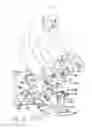 Fig. 07 - Bicycling exercise apparatus with multiple element load dispersion