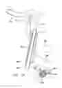 Fig. 08 - Bicycling exercise apparatus with multiple element load dispersion