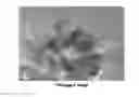 Fig. 01 - METHOD FOR SYNTHESIZING SILVER NANOPARTICLES ON TiO2 USING HYBRID POLYMERS