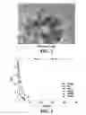 Fig. 03 - METHOD FOR SYNTHESIZING SILVER NANOPARTICLES ON TiO2 USING HYBRID POLYMERS
