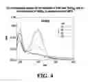 Fig. 04 - METHOD FOR SYNTHESIZING SILVER NANOPARTICLES ON TiO2 USING HYBRID POLYMERS