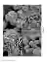 Fig. 03 - MOLECULAR SIEVE MATERIAL, ITS SYNTHESIS AND USE
