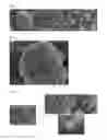 Fig. 02 - Supported catalyst, method for preparing same, secondary structure of carbon nanostructure manufactured using same