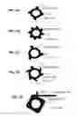 Fig. 15 - Punch card programmable microfluidics