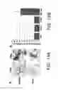 Fig. 22 - Micro-fluidic device and uses thereof