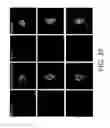 Fig. 40 - Micro-fluidic device and uses thereof