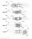 Fig. 02 - Bead manipulation techniques