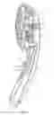 Fig. 02 - Showerhead with spray mode selecting function