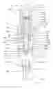 Fig. 01 - Dispensing pump