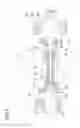 Fig. 02 - Tool holder and attachment head having said tool holder