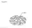 Fig. 24 - POLISHING AND GRINDING SYSTEM