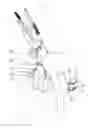 Fig. 01 - FASTENER STRUCTURE FOR PLIERS