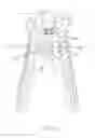 Fig. 07 - Fastener structure for pliers