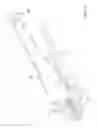 Fig. 05 - Locking Pliers