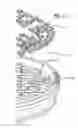 Fig. 05 - Wheel Center Cap and Method Related Thereto