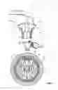 Fig. 08 - Single wheel caster