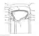 Fig. 01 - System including pressurized load cells