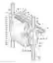 Fig. 01 - HEAD REST