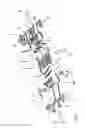 Fig. 02 - Body structure, in particular floor structure, for a motor vehicle