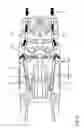 Fig. 06 - Body structure, in particular floor structure, for a motor vehicle