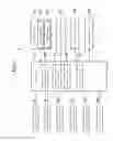 Fig. 10 - Sheet sorting apparatus