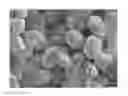 Fig. 01 - α-alumina particles and method for manufacturing the same