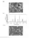 Fig. 02 - α-alumina particles and method for manufacturing the same