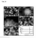 Fig. 06 - Titanate and titania nanostructures and nanostructure assemblies, and methods of making same