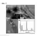 Fig. 08 - Titanate and titania nanostructures and nanostructure assemblies, and methods of making same