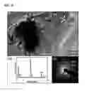 Fig. 09 - Titanate and titania nanostructures and nanostructure assemblies, and methods of making same