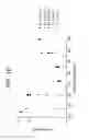 Fig. 18 - Low crystallinity glass-ceramics
