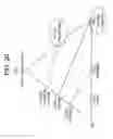 Fig. 22 - Low crystallinity glass-ceramics
