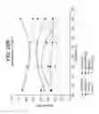 Fig. 25 - Low crystallinity glass-ceramics