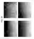 Fig. 27 - Low crystallinity glass-ceramics