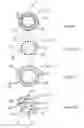 Fig. 04 - Fertilizer compositions and methods of making the same