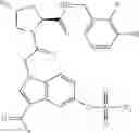 Fig. 216 - Factor D inhibitors useful for treating inflammatory disorders