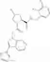 Fig. 366 - Factor D inhibitors useful for treating inflammatory disorders