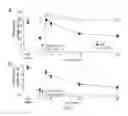 Fig. 02 - Peripherally-acting cannabinoid receptor agonists for chronic pain