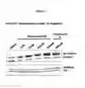Fig. 02 - Pyrimidine hydroxy amide compounds as HDAC6 selective inhibitors
