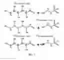 Fig. 02 - FUNCTIONALIZED CARBON MATRIX MATERIALS