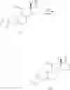 Fig. 22 - Process for preparing 11-methylene-18-methyl-estr-4-en-3, 17-dione, useful as intermediate compound for the synthesis of molecules having pharmacological activity