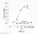 Fig. 02 - Tissue protective peptides and peptide analogs for preventing and treating diseases and disorders associated with tissue damage