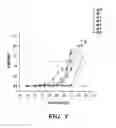 Fig. 07 - Gramicidin a mutants that function as antibiotics with improved solubility and reduced toxicity