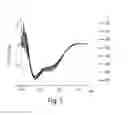 Fig. 06 - Proline-locked stapled peptides and uses thereof