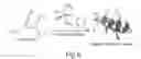 Fig. 07 - Proline-locked stapled peptides and uses thereof