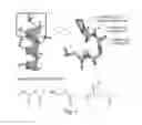 Fig. 08 - Proline-locked stapled peptides and uses thereof