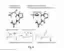 Fig. 09 - Proline-locked stapled peptides and uses thereof
