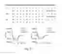 Fig. 22 - Proline-locked stapled peptides and uses thereof