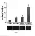 Fig. 09 - Compositions and methods for increasing the expression and signalling of proteins on cell surfaces